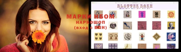 прущие грибы Арсеньев