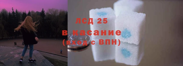 прущие грибы Арсеньев