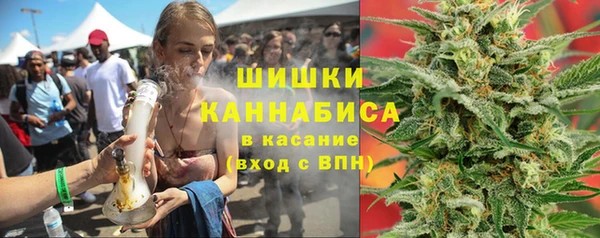прущие грибы Арсеньев